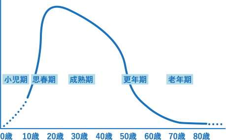 女性ホルモン（エストロゲン）量とライフサイクル