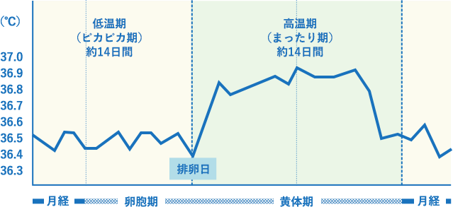 基礎体温下がる 生理予定日前日