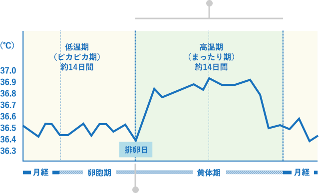 体温 生理 基礎 高い 基礎体温グラフでチェック！ 高温期が長い？