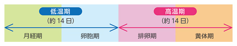 体温 生理 1 週間 前 生理予定日前日あたりで基礎体温がガクッと下がったけど妊娠してたよって方いますか😭いつも生理…