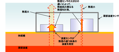 【深部温度センサ（チップ）内の構造と測定原理】