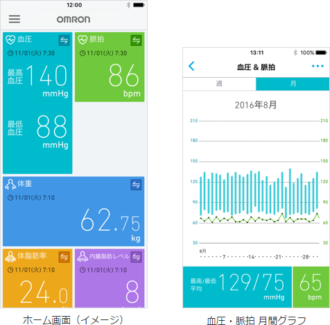 ホーム画面（イメージ）／血圧・脈拍 月間グラフ