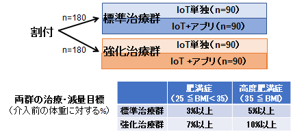 実施内容