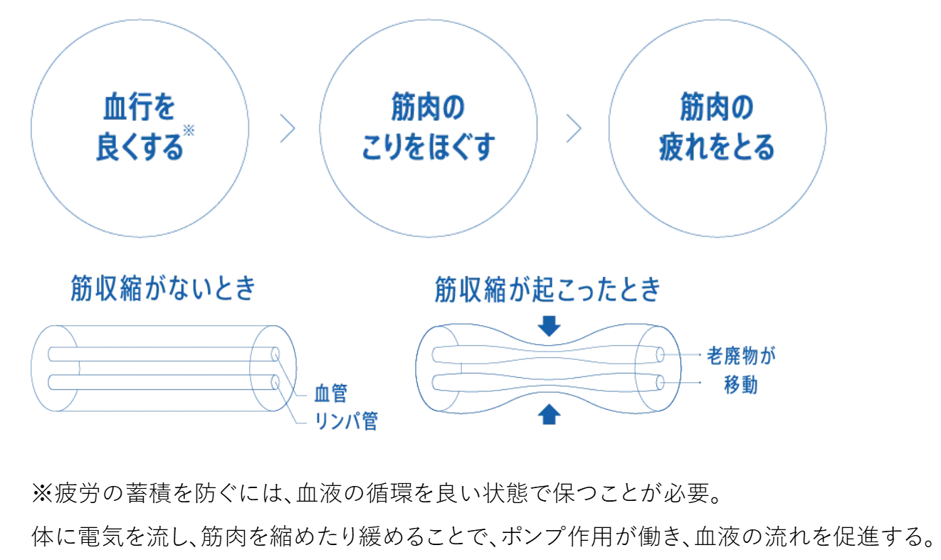血行を良くする※→筋肉のこりをほぐす→筋肉の疲れをとる ※疲労の蓄積を防ぐには、血液循環を良い状態で保つことが必要。体に電気を流し、筋肉を縮めたり緩めたりすることで、ポンプ作用が働き、血液の流れを促進する。