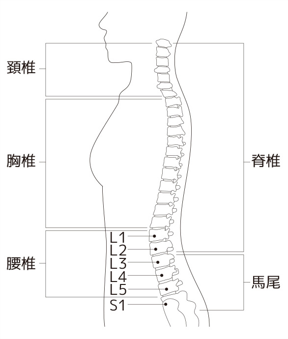 ヘルニア 治る のか