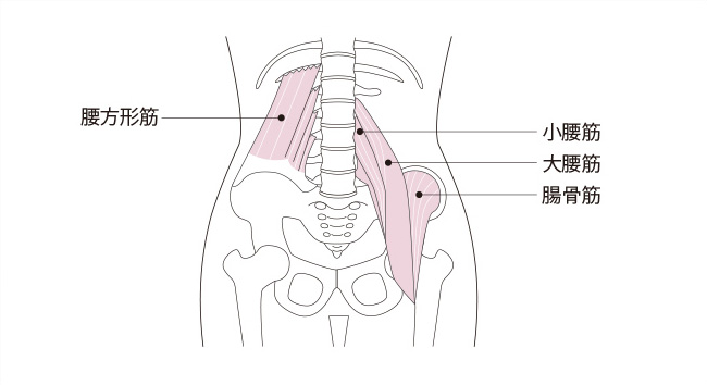 腰方形筋（ようほうけいきん）