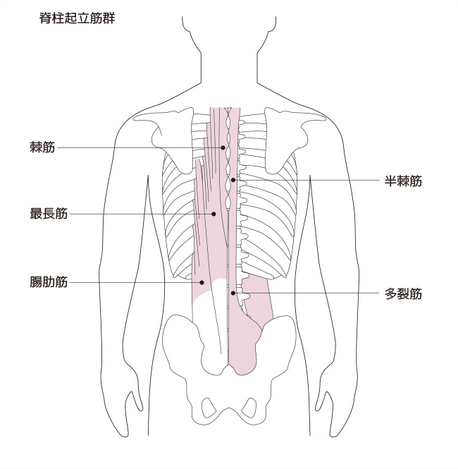 腰痛改善ストレッチ ツボ押しなど 自宅で行える5つのおすすめ対策 腰の痛み 痛みwith