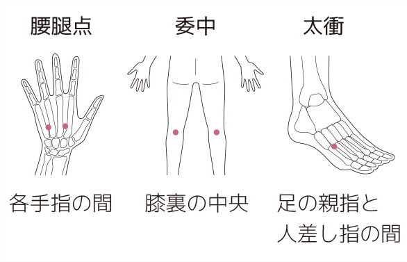 に 効く 腰痛 ツラい腰痛＆肩こりに効く食べ物はこれだ！