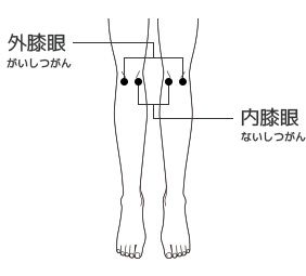 膝の痛みに効くツボ