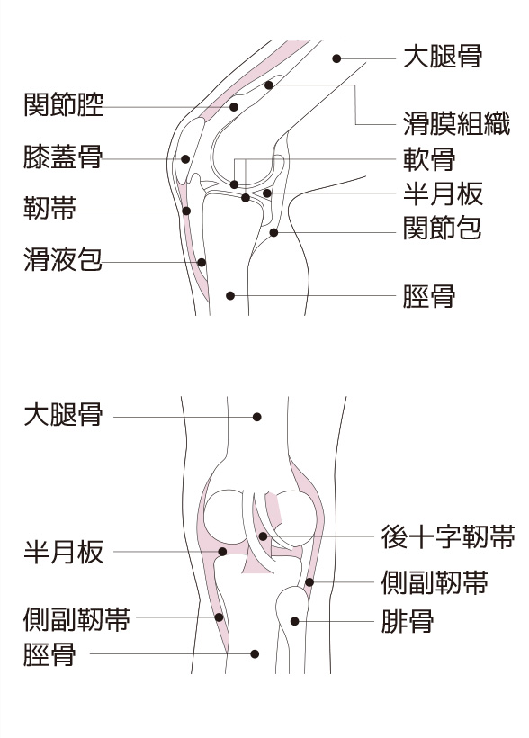 膝痛の軽減に効果的なストレッチ方法 膝の痛み 痛みwith