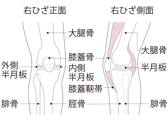 ランナー膝 腸脛靱帯炎 ほか ランニングで起きやすい膝の疾患と原因 スポーツによる慢性の痛み 痛みwith