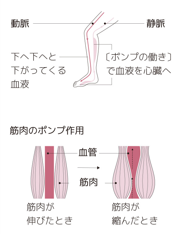 低周波治療が痛みに効くしくみ ゲートコントロール理論と血行促進 電気 低周波治療 痛みwith