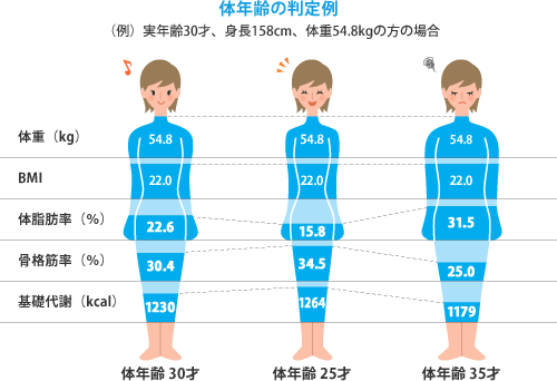 体年齢の判定例