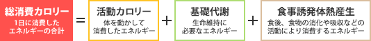 総消費カロリー（1日に消費した エネルギーの合計）＝活動カロリー（体を動かして消費したエネルギー）＋基礎代謝（生命維持に必要なエネルギー）＋食事誘発体熱産生（食後、食物の消化や吸収などの活動により消費するエネルギー）