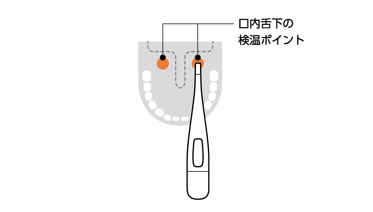 体温 方 基礎 測り