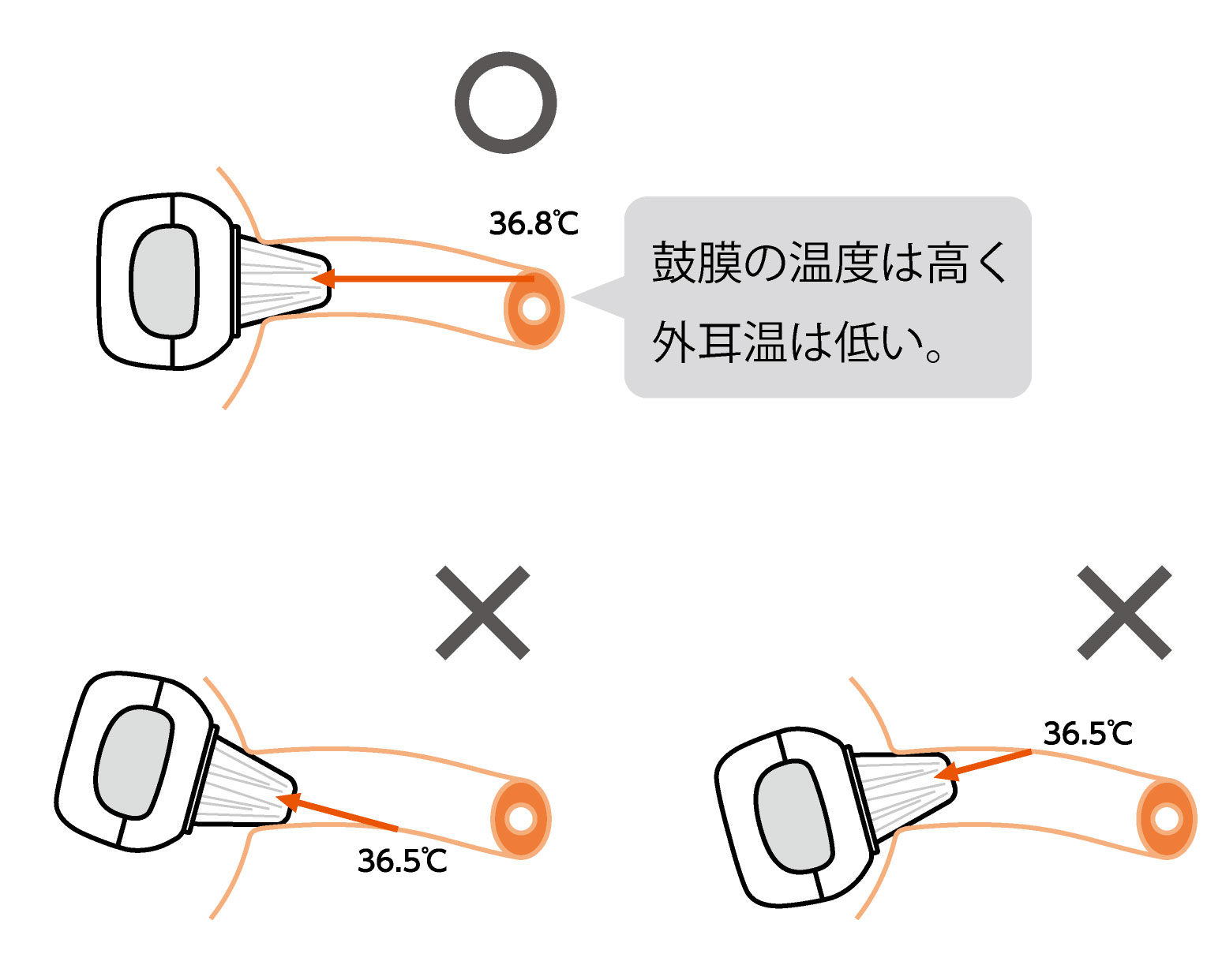 の 体温 食後