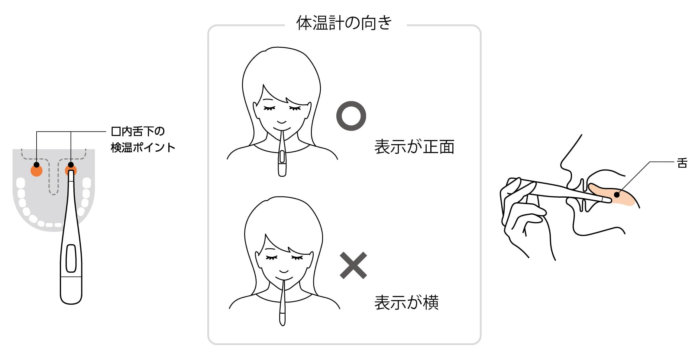 体温計 基礎 体温計 違い