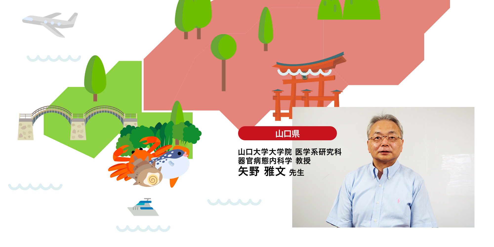 山口編 山口大学大学院 医学系研究科 器官病態内科学 教授 矢野雅文先生